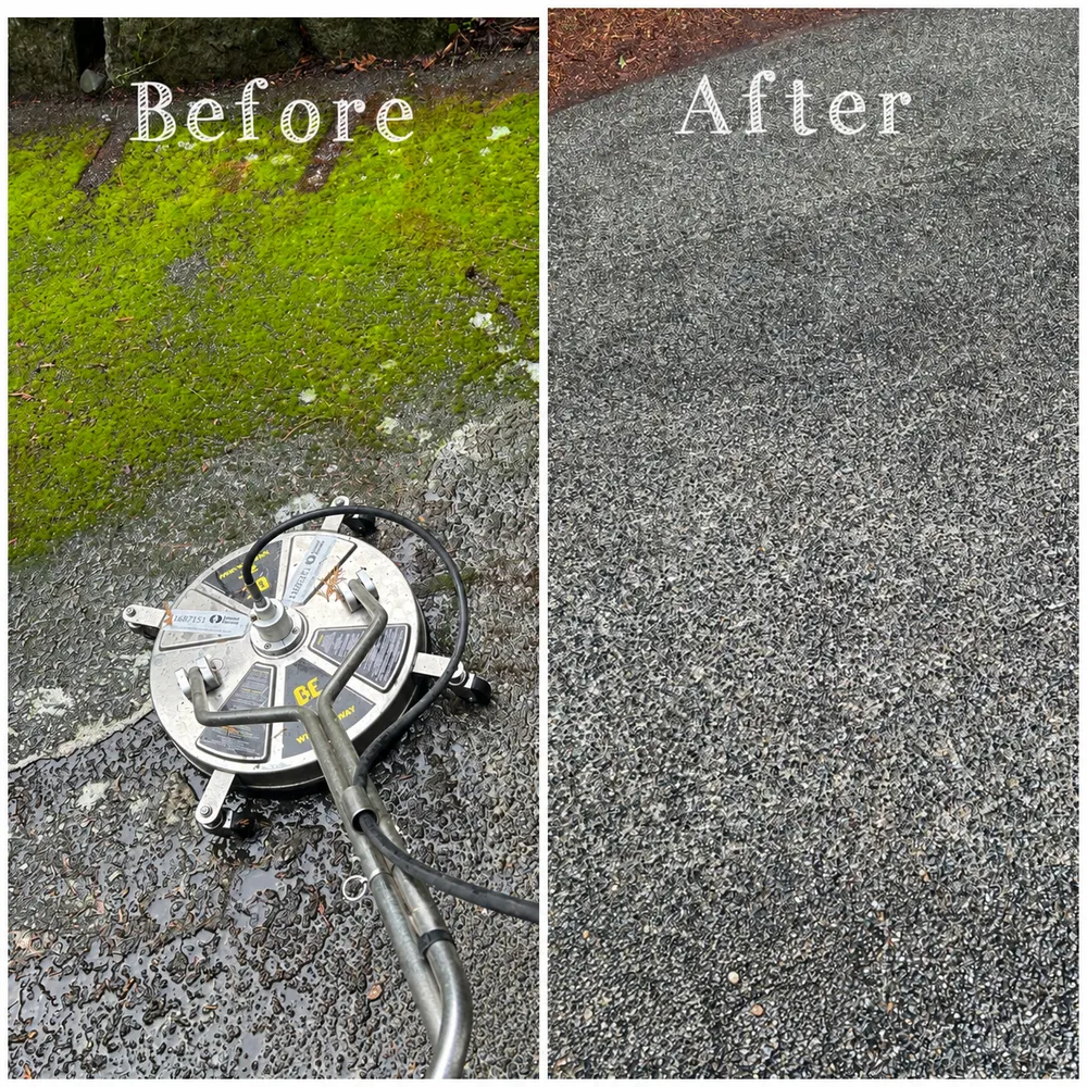 Driveway cleaning before and after