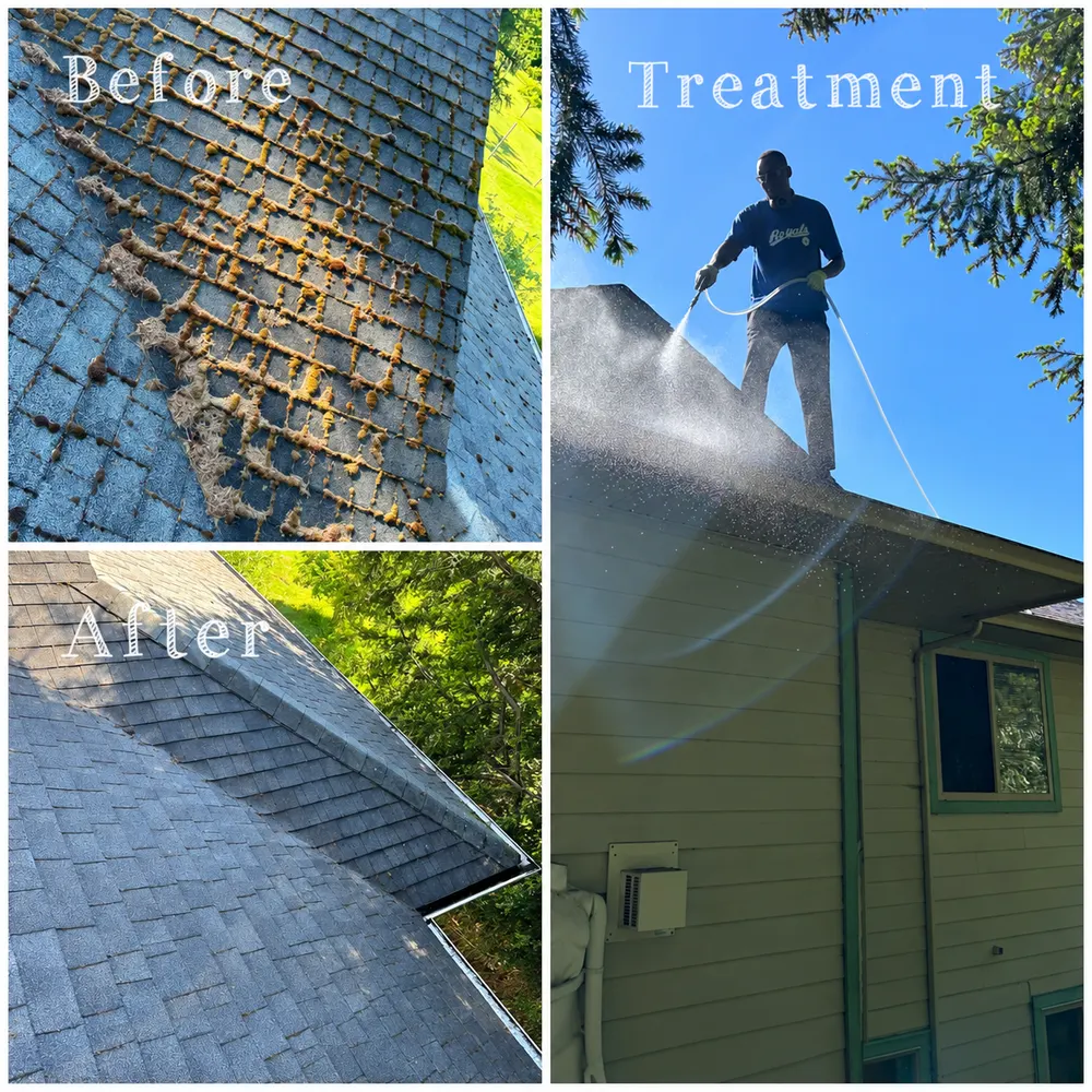 Roof cleaning before, treatment and after