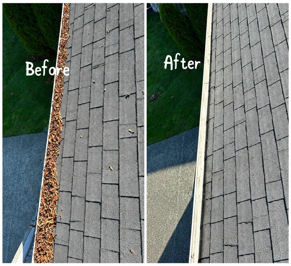 Roof and gutter cleaning before and after